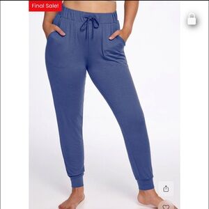 Woolx Mary Kate Lounge Pajama Jogger Pants Merino Wool Blue Size Large